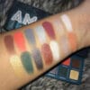 safari eyeshadow