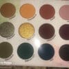 AT FOREST SIGHT Colourpop Raw Beauty Kristi 🍄🌲
