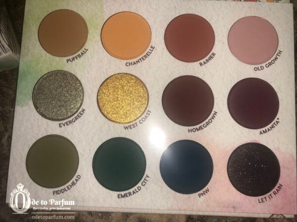 AT FOREST SIGHT Colourpop Raw Beauty Kristi 🍄🌲