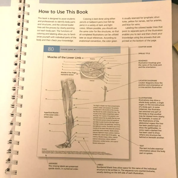 Anatomy Coloring Book Barron's Student's Self-Test ⚕️