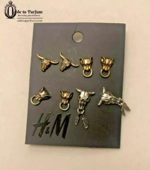 southwest earrings