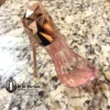 Pink heels perfume