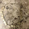 boho necklace