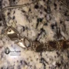 Vintage TRIFARI Necklace Brown Gold '70s'80s