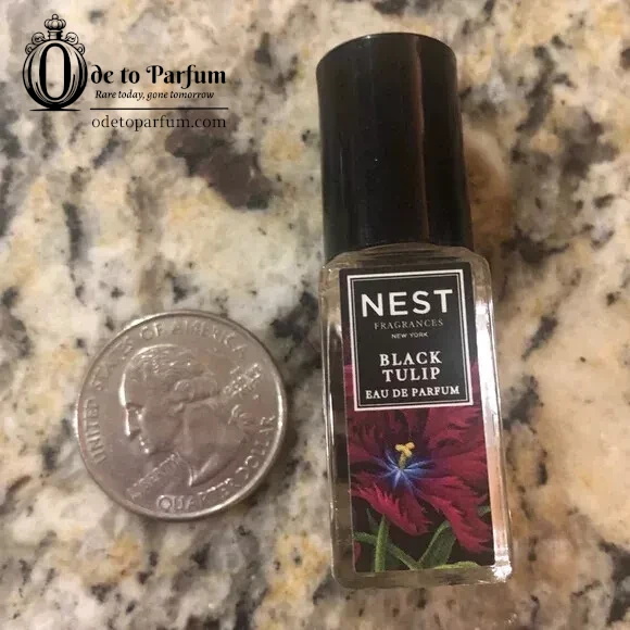 nest black tulip