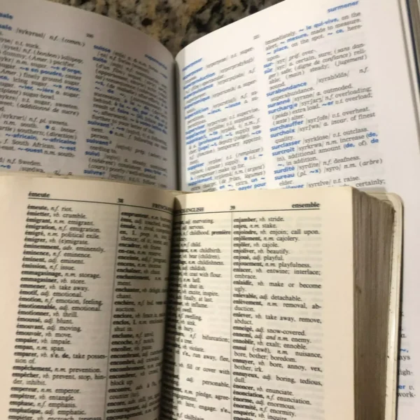 French Dictionary Bundle 2 Travel Books!