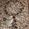 amber necklace