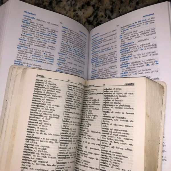 French Dictionary Bundle 2 Travel Books!