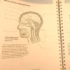 Anatomy Coloring Book Barron's Student's Self-Test ⚕️