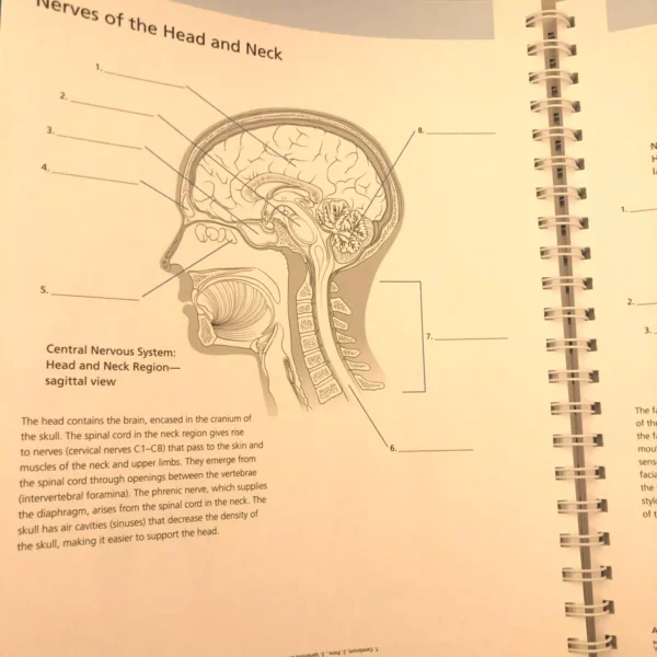 Anatomy Coloring Book Barron's Student's Self-Test ⚕️