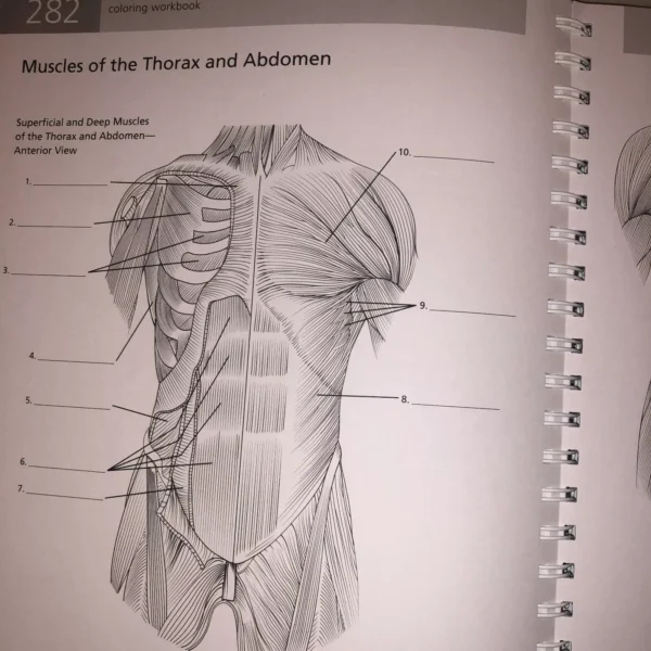 Anatomy Book Visual Dictionary⚕️Barron's