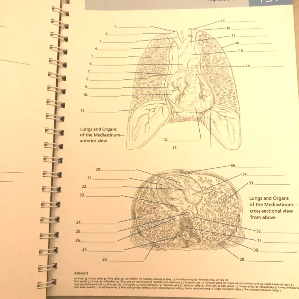 Anatomy Coloring Book Barron's Student's Self-Test ⚕️