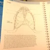 Anatomy Coloring Book Barron's Student's Self-Test ⚕️