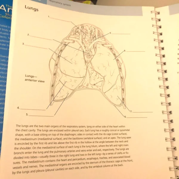 Anatomy Coloring Book Barron's Student's Self-Test ⚕️