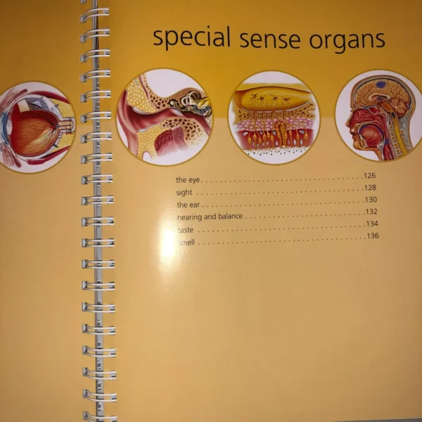 Anatomy Book Visual Dictionary⚕️Barron's