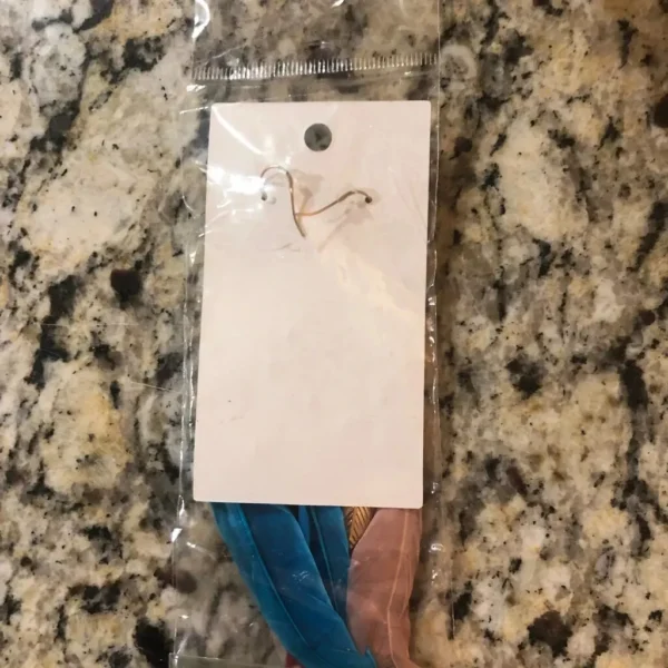 Feather Earrings Southwest Style Blue & Red *NEW*