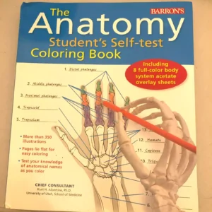 anatomy coloring book