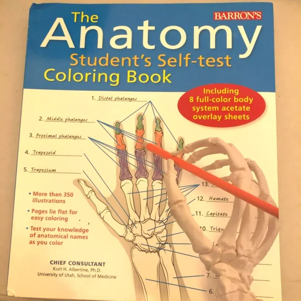 anatomy coloring book