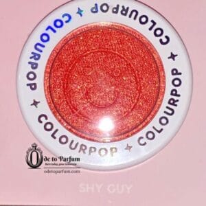 colourpop shy guy colourpop shy guy