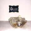 Givenchy ORGANZA INDECENCE Perfume 100 ml 3.3oz