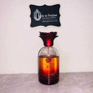 Disney Enchanted Beauty Fragrance perfume
