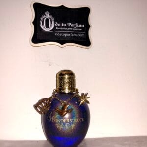 IMG_9897 Taylor Swift Wonderstruck