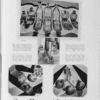 la vionette ad