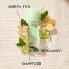 GREEN TEA Perfume Elizabeth Arden Spray 3.3 oz